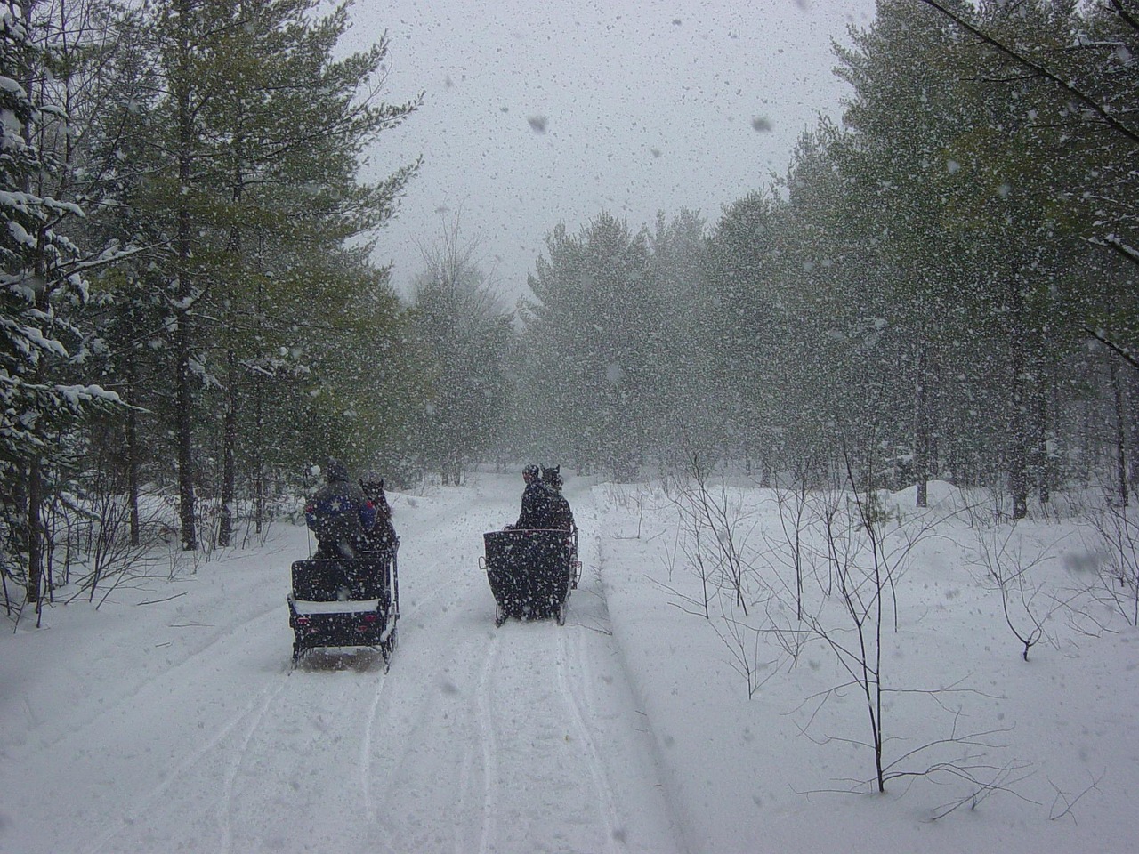 3年冬季旅游收入超百亿，阿勒泰冰雪游为何“热”？