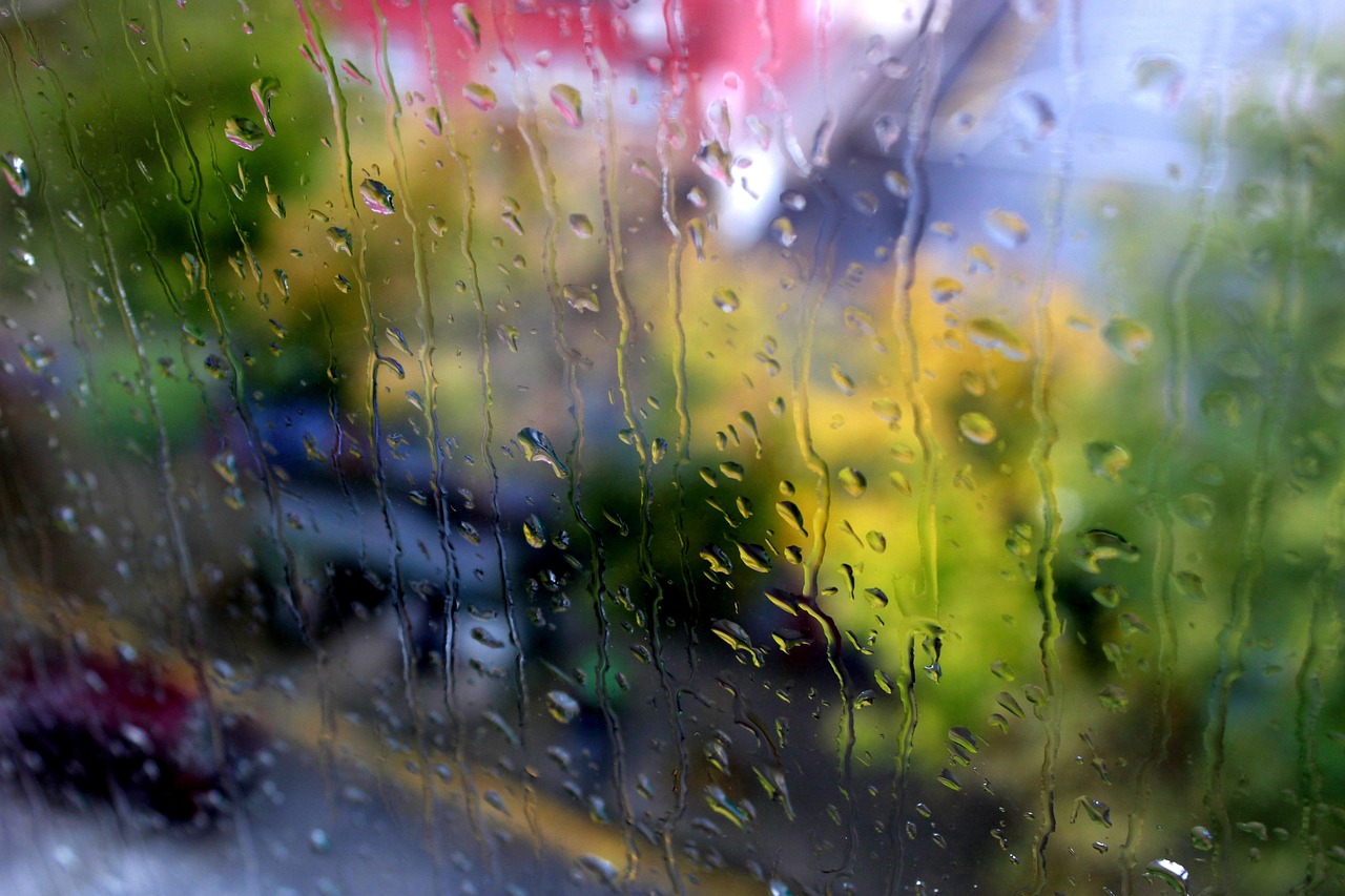 一地雨检与生肖的奇妙关联