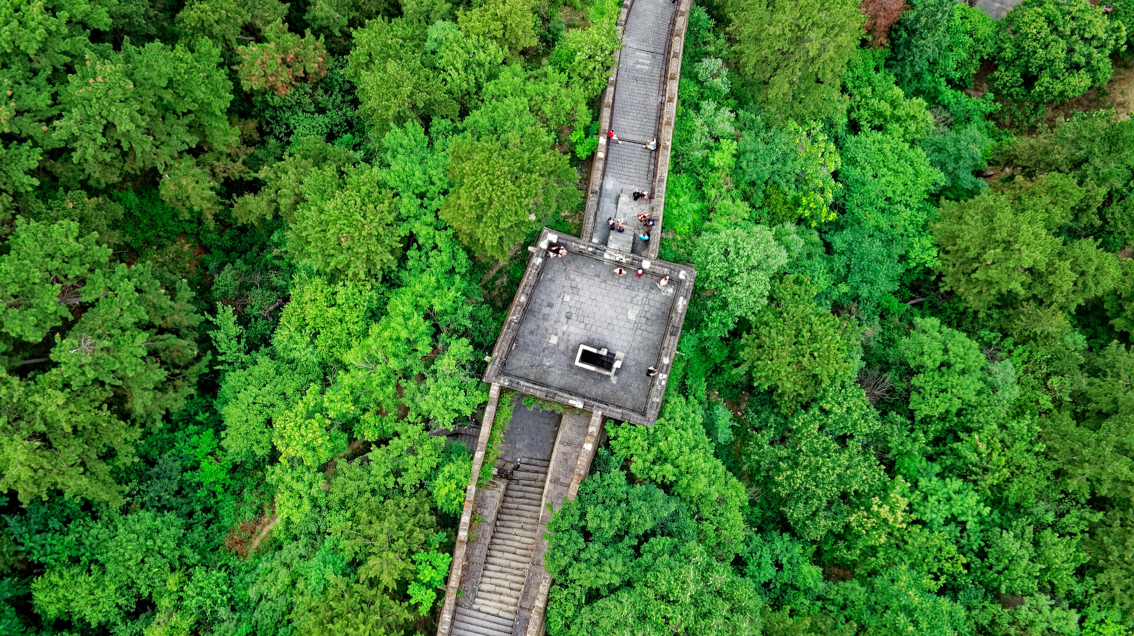 独自踏足丽江，探索云南的衣食住行全攻略—一个人的2025云南之旅