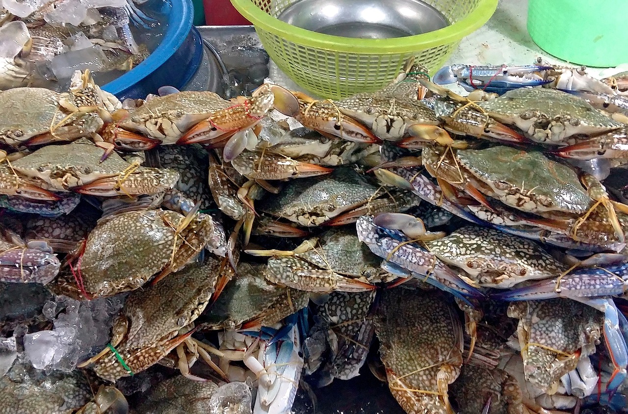 青岛旅游初游指南，热门景点、特色美食与住宿攻略