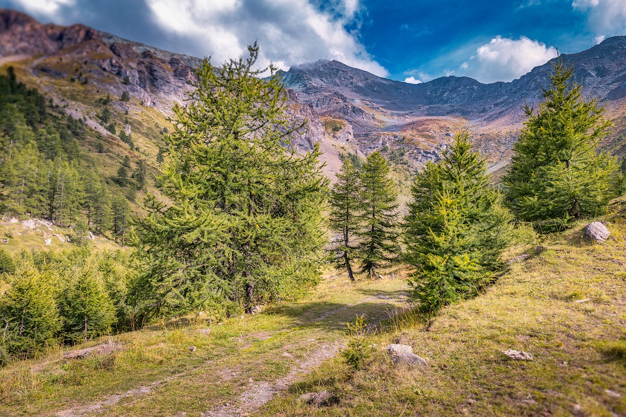 全国旅游景点深度游，西藏旅游费用与自由行攻略详解